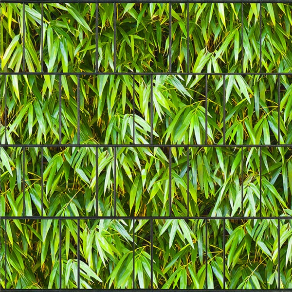 Sichtschutzstreifen Vlies bedruckt Bambus - Pflanzen