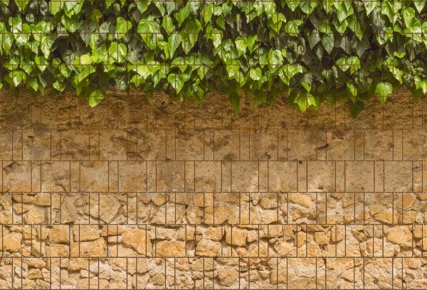 Sichtschutzstreifen Vlies bedruckt Ivy wall - Natur